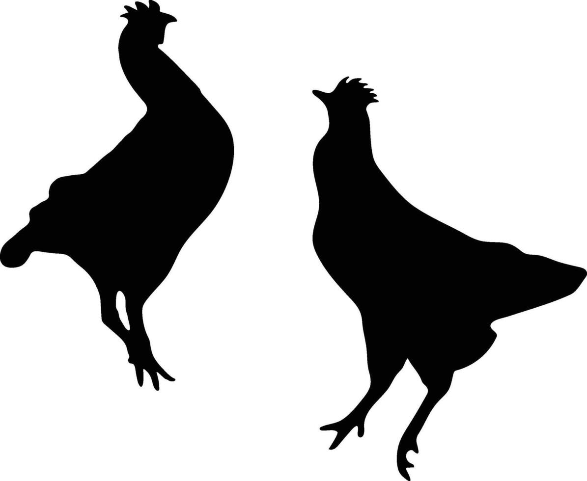 Chicken vector  or silhouette