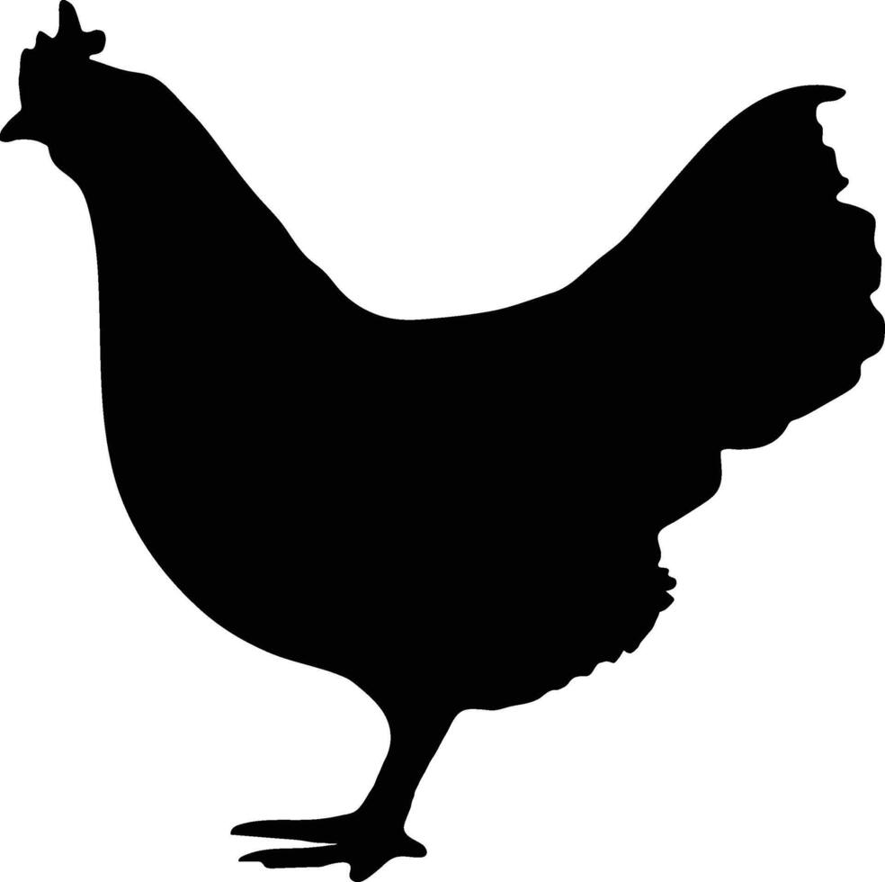 Chicken vector  or silhouette