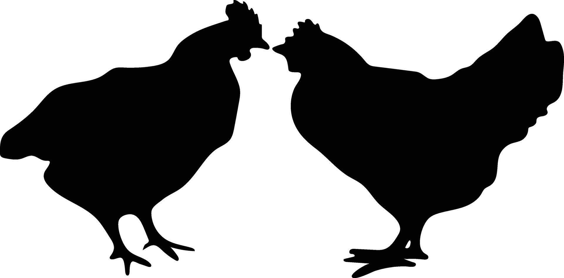 Chicken vector  or silhouette