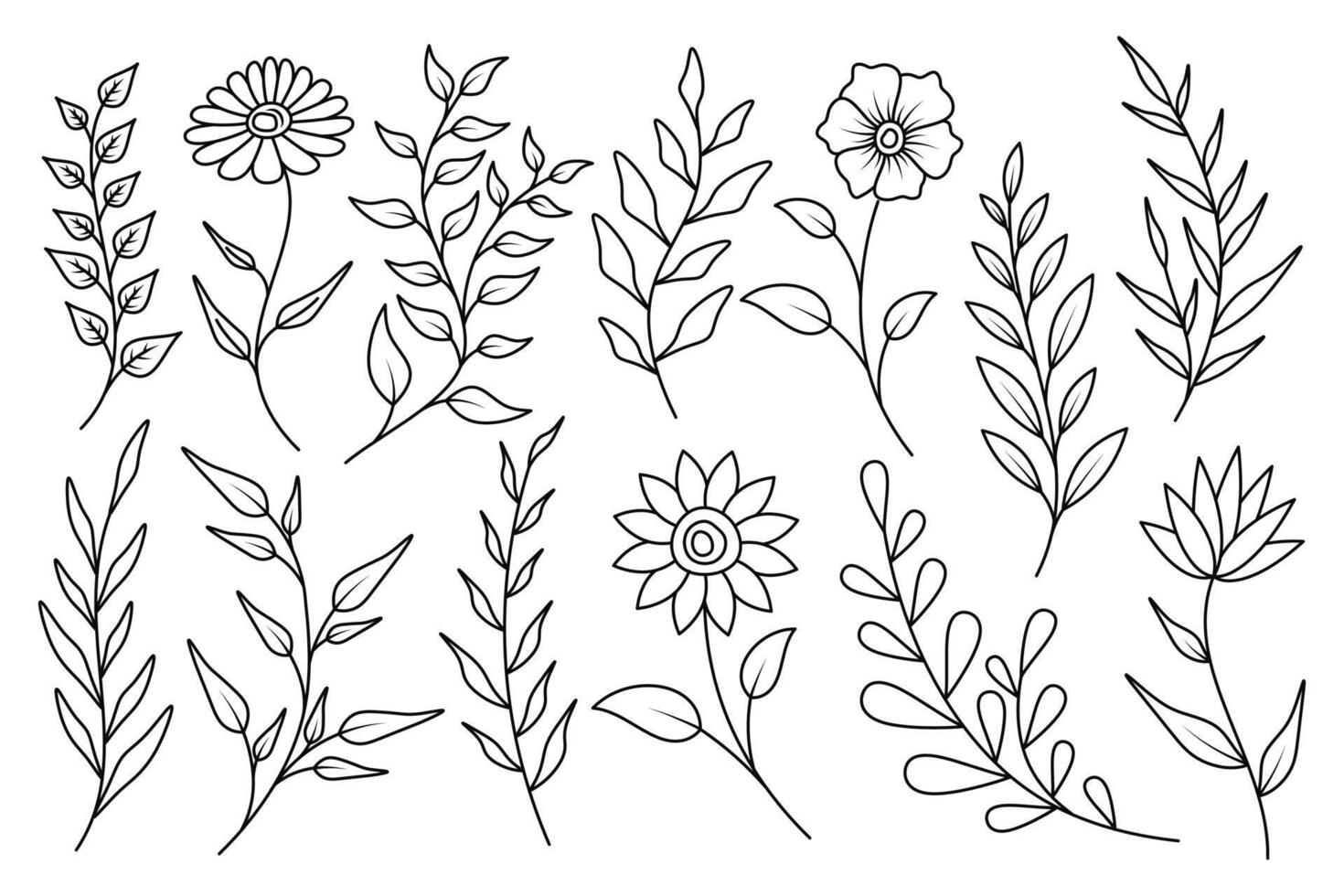 Set of floral element, leaves and flowers collection. vector