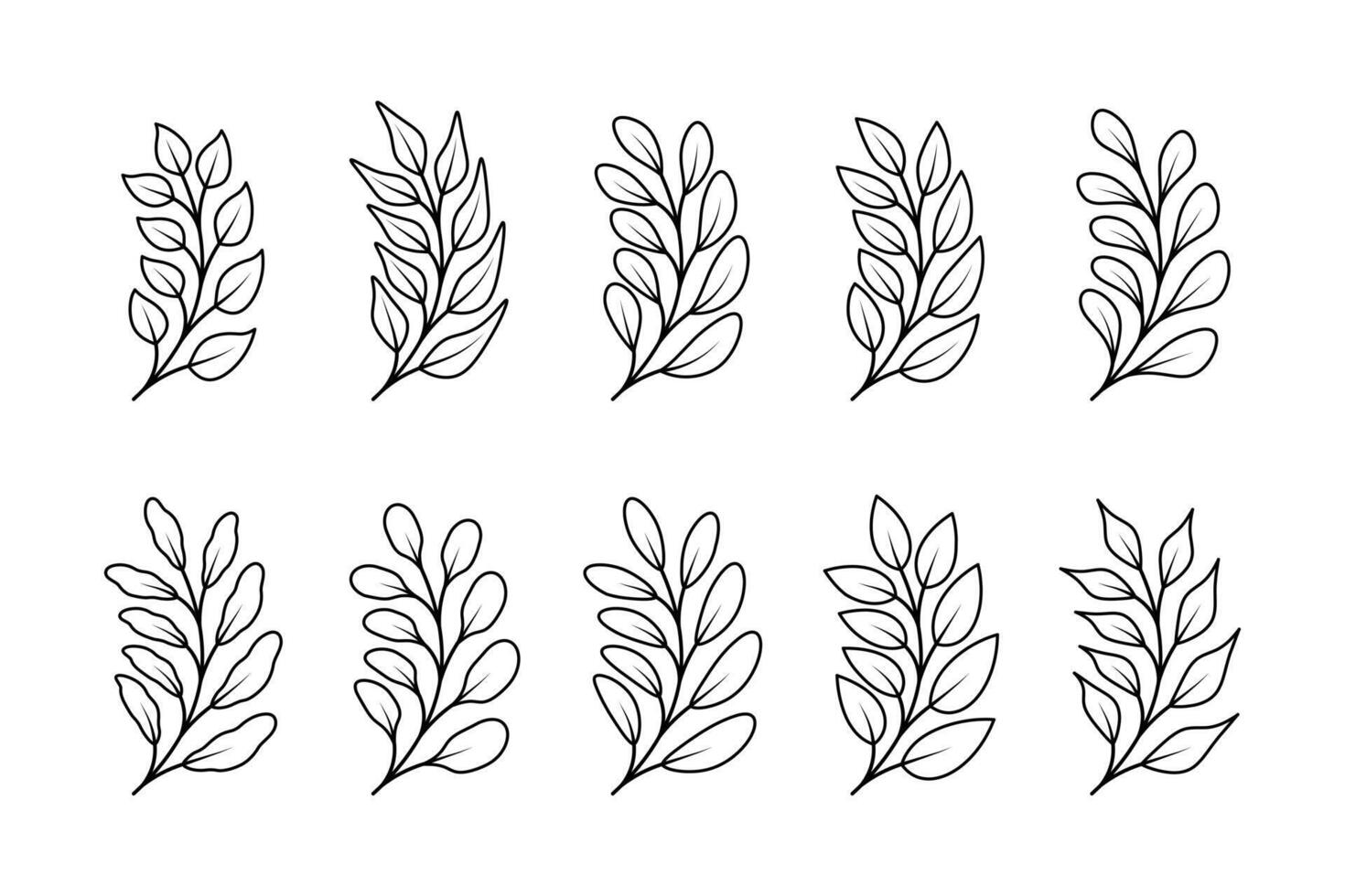 Set of branch and leaves collection. Floral hand drawn vintage set vector