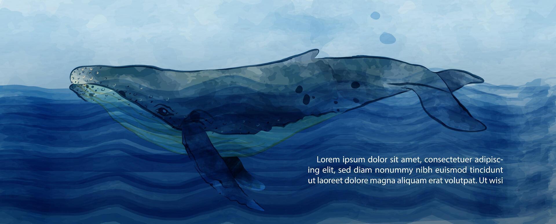Whale swimming in the ocean in watercolors style and example texts on blue paper pattern background. vector