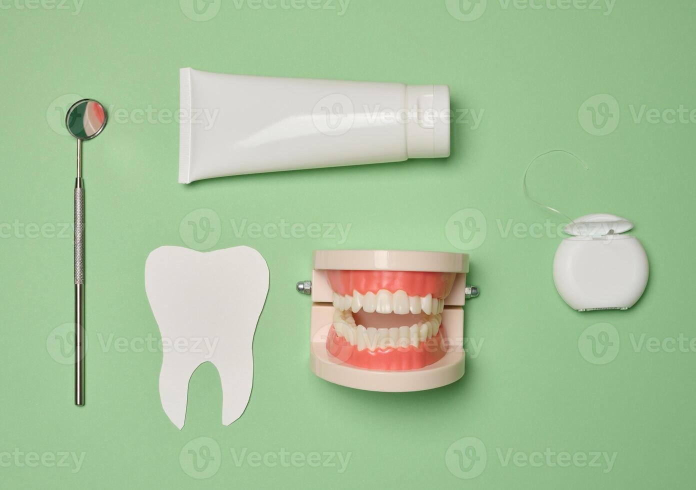 modelo de un humano mandíbula con blanco dientes, dental seda floja y pasta dental en un verde fondo, parte superior vista. foto