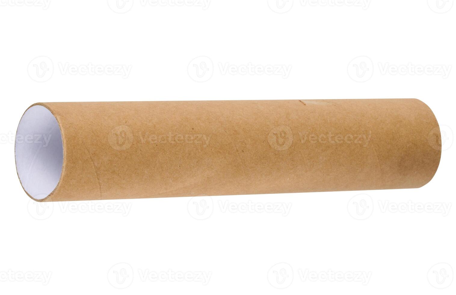 Brown paper towel tube on white isolated background, close up photo