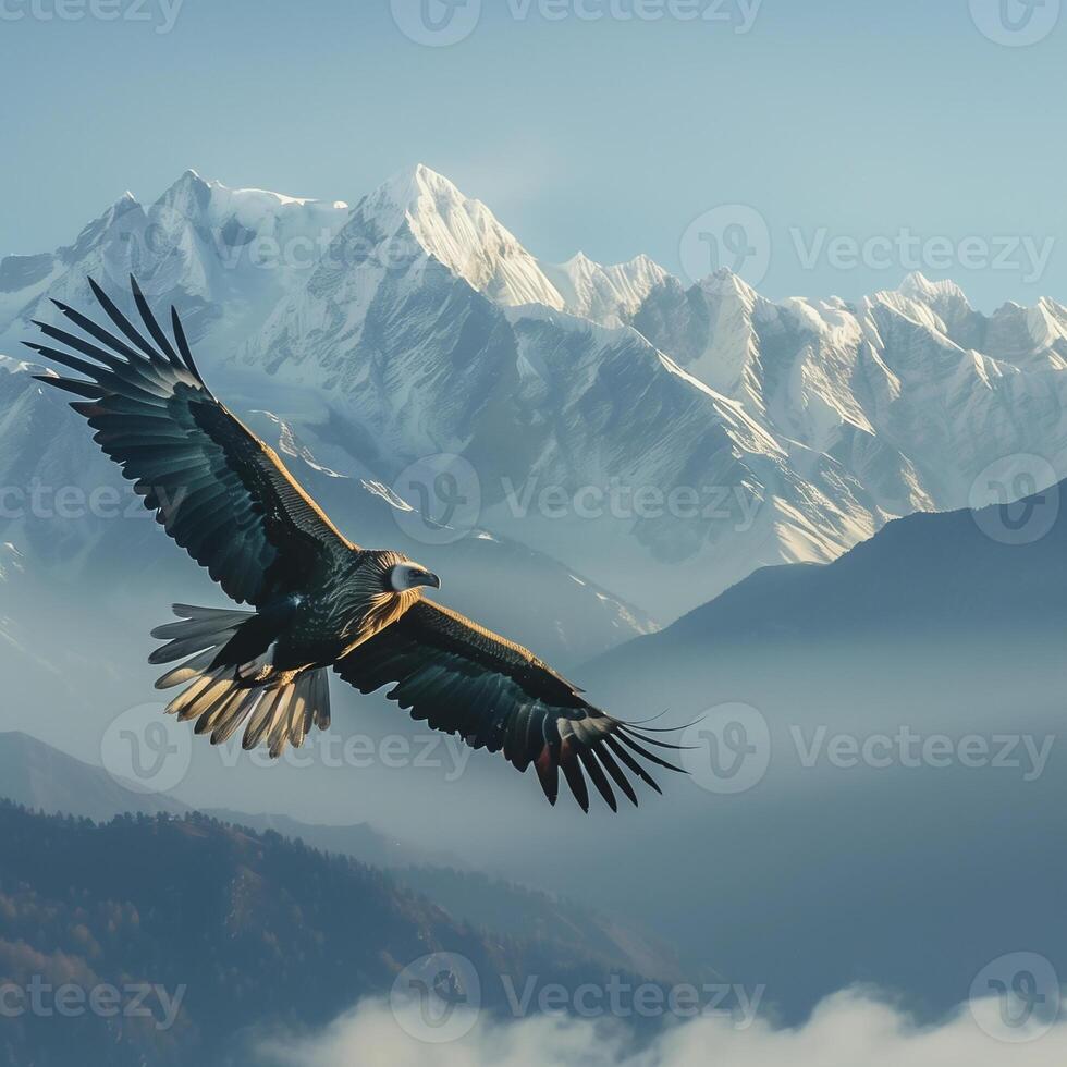 AI generated Himalayan griffon vulture flying with snow mountain background.Generative Ai photo