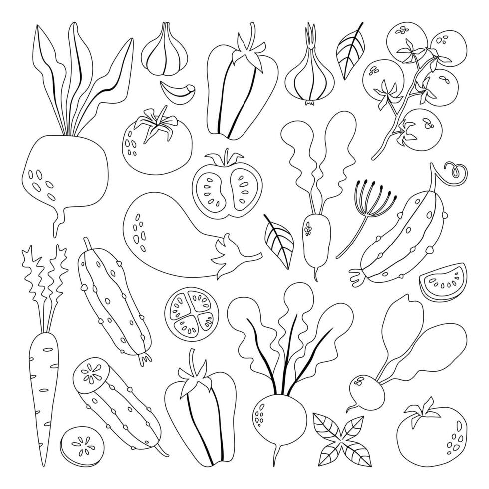 conjunto de garabatear vegetales. vector ilustración aislado en blanco antecedentes. colorante para niños.