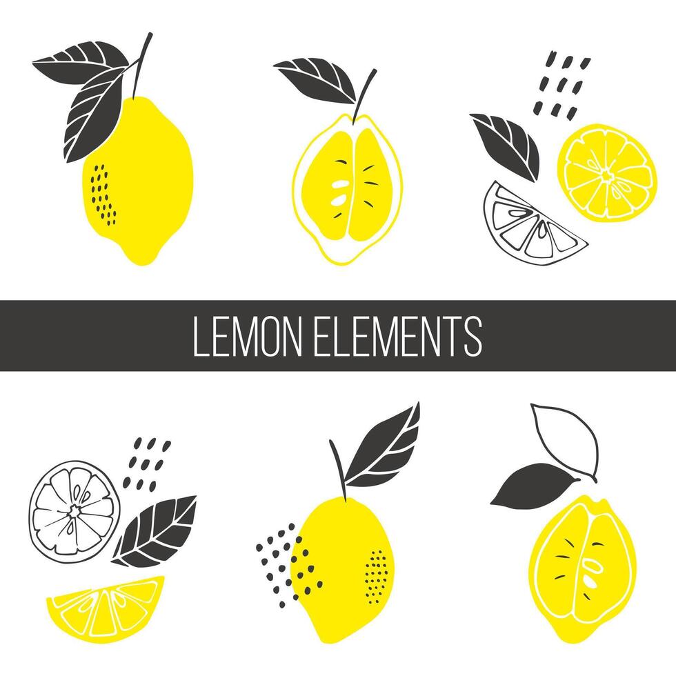 Fruta vector colocar. dibujado limones, limón rebanadas, hojas. garabatear frutas para papel, textil, regalo envase, interior decoración, menú. dibujos animados diseño