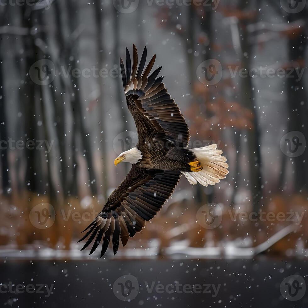 AI generated bald eagle flying with forest in the background.Generative Ai photo