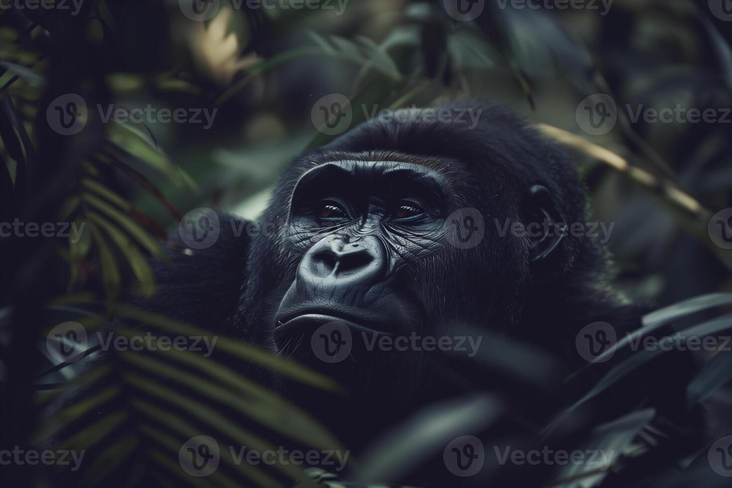 AI generated Portrait dominant male gorilla in forest.Generative Ai photo