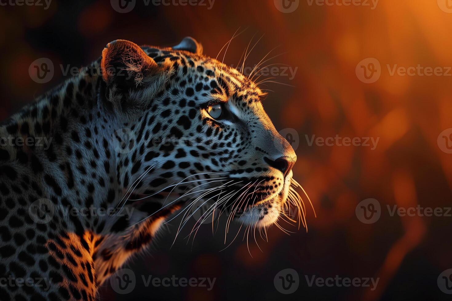 AI generated leopard in the sunset.Generative AI photo