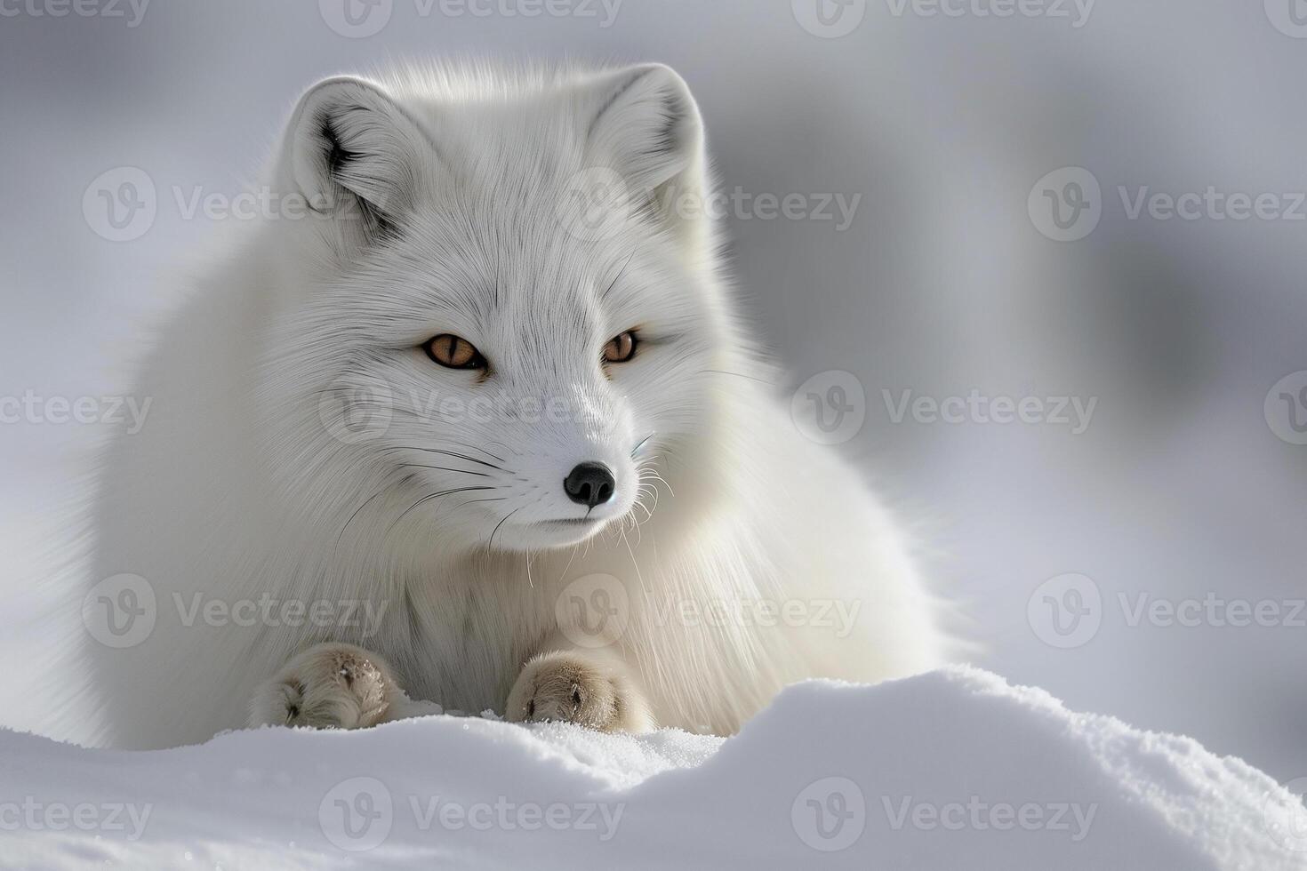 AI generated Arctic fox in snowy landscape.Generative Ai photo