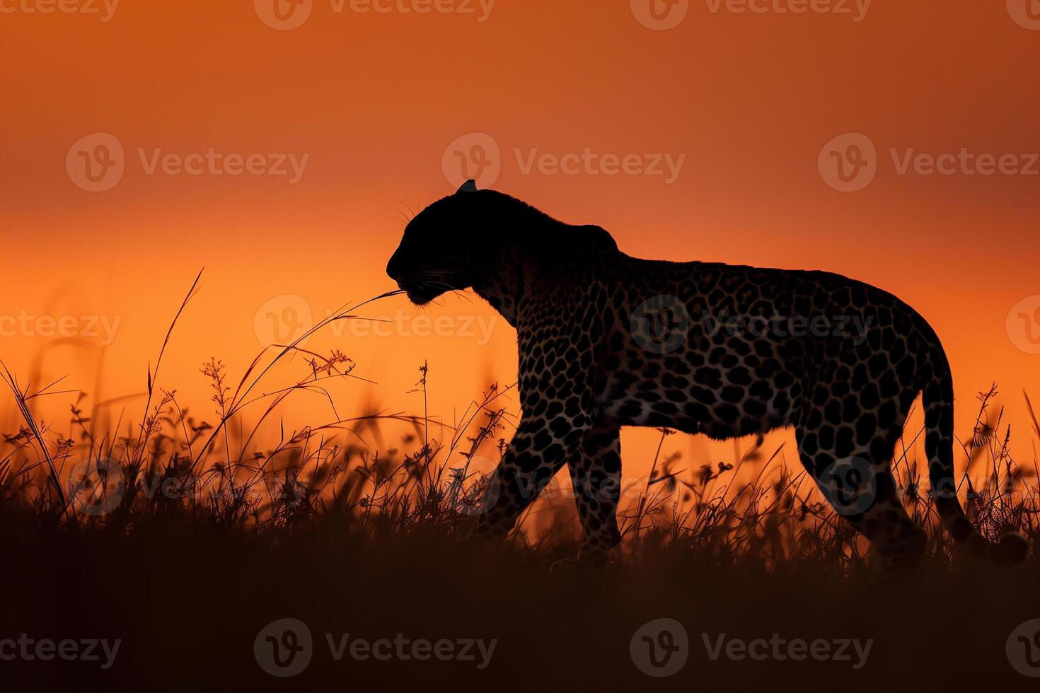 AI generated leopard in the sunset.Generative AI photo