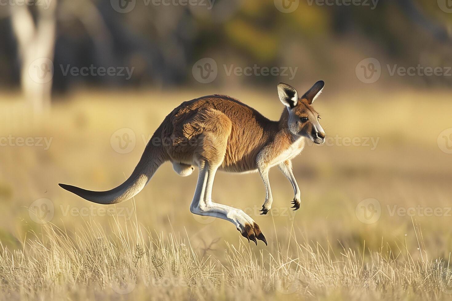 AI generated wild kangaroo jumping at the field.Generative Ai photo