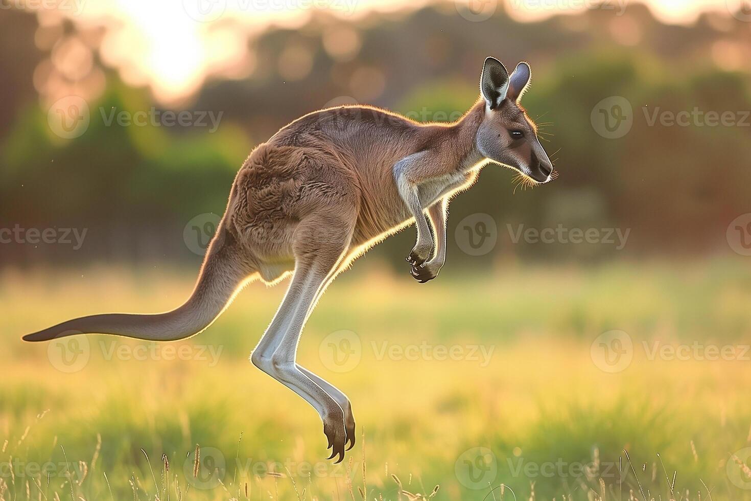 Kangaroo jumper baby sale