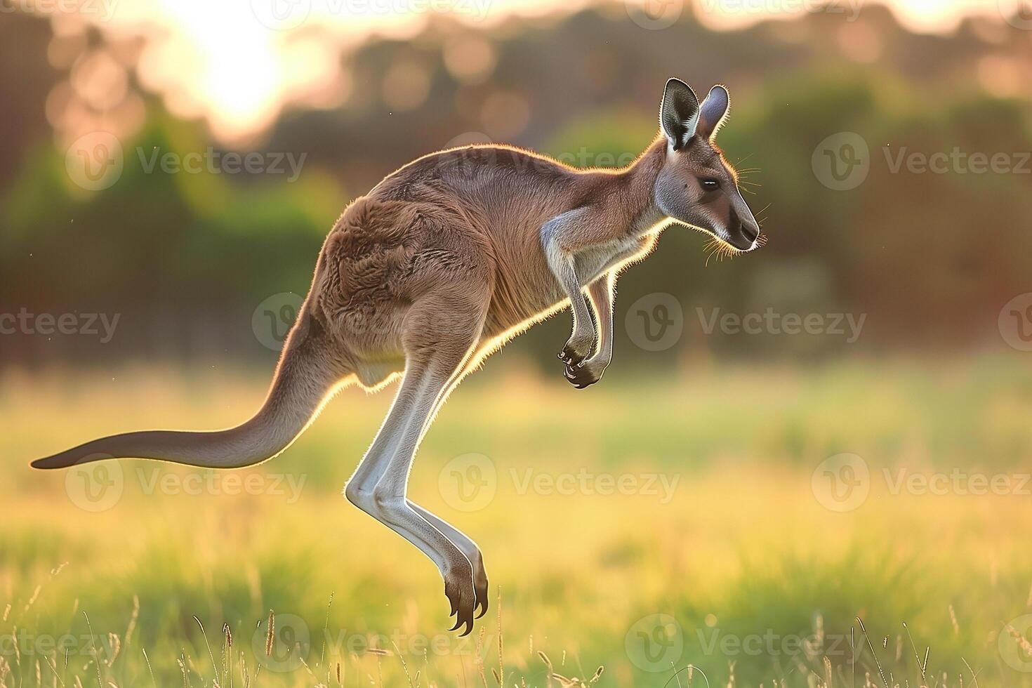 AI generated wild kangaroo jumping at the field.Generative Ai photo