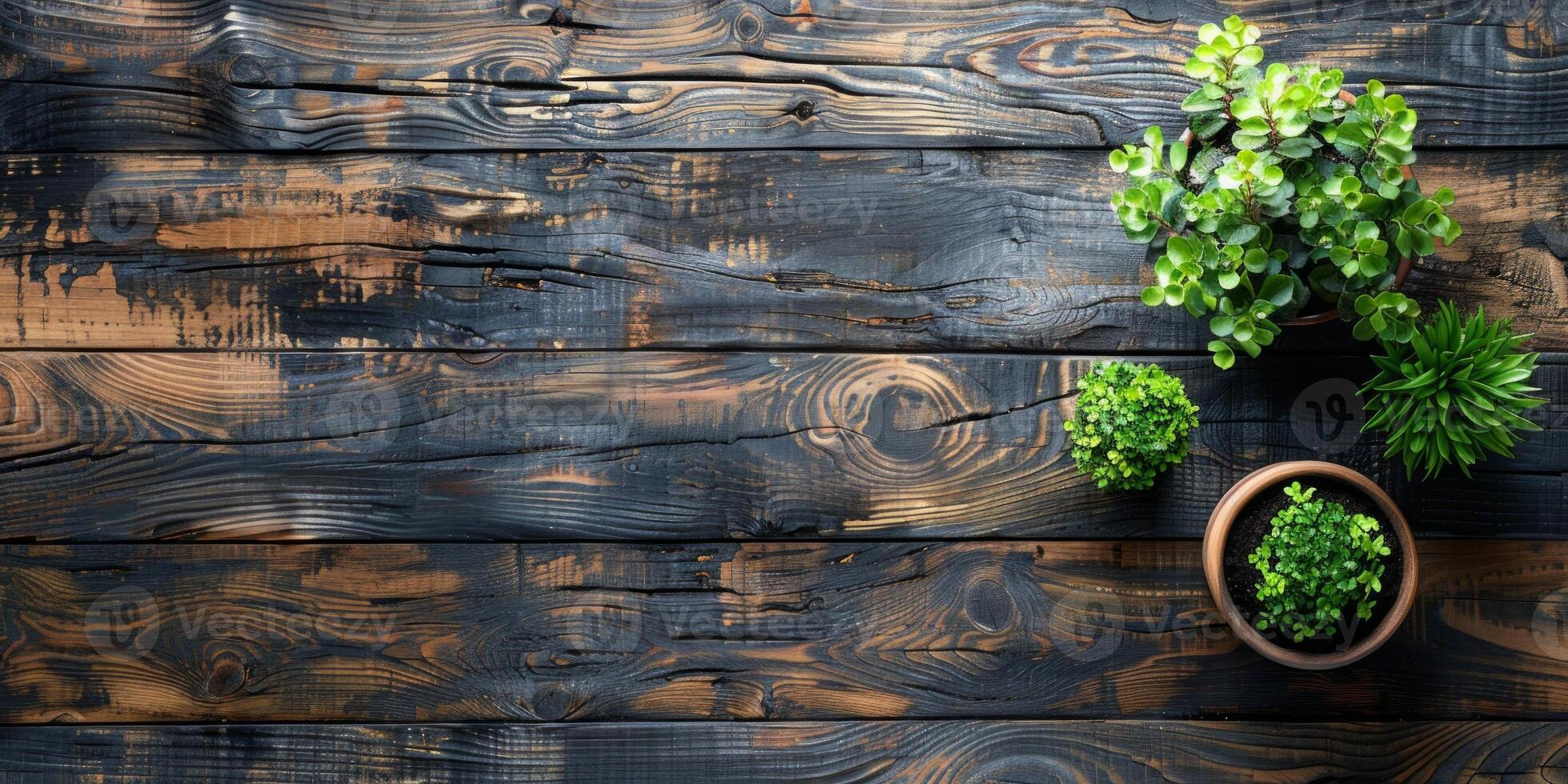 AI generated Top view of green plants in pots on rustic wooden background. photo
