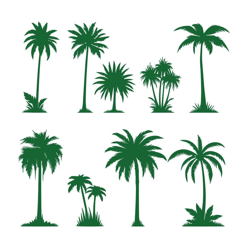 Green Tropical Palm Tree Set vector