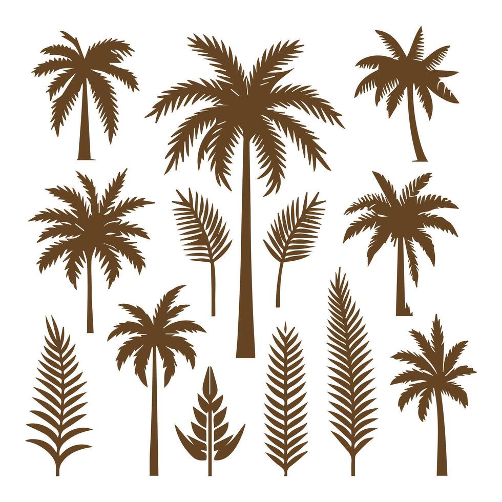 Tropical Palm Tree Set vector