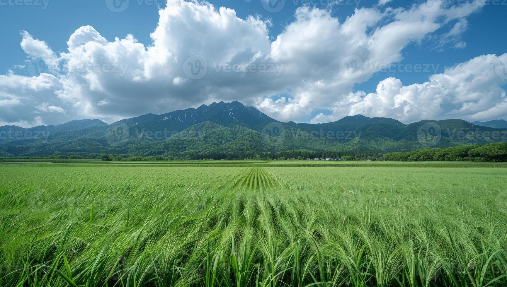 AI generated Serene landscape of lush green wheat field with majestic mountains in the distance under a partly cloudy blue sky. Concept of nature, agriculture, and tranquility. photo