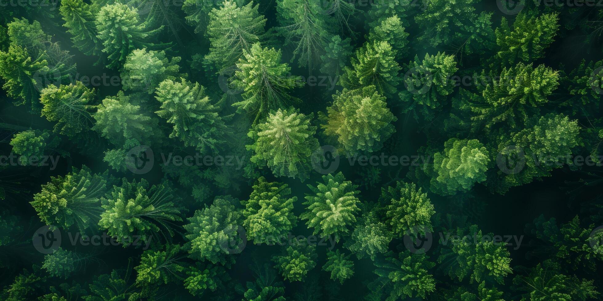 AI generated Aerial view of a lush green forest canopy photo