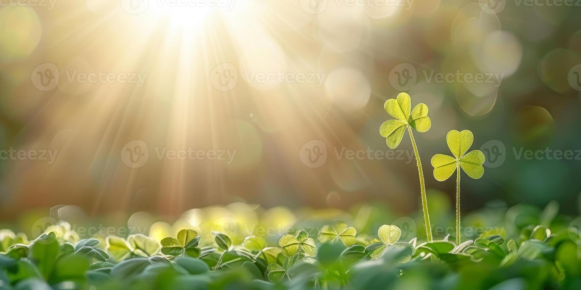 AI generated Lucky leaf clover glowing in sunbeam rays. Concept of luck, nature, and spring. photo