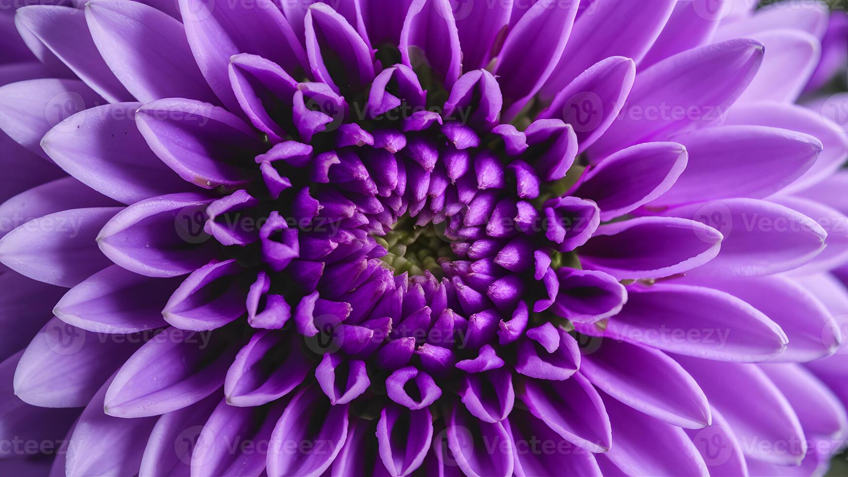 ai generado macro lente usado a capturar interesante resumen púrpura flor foto