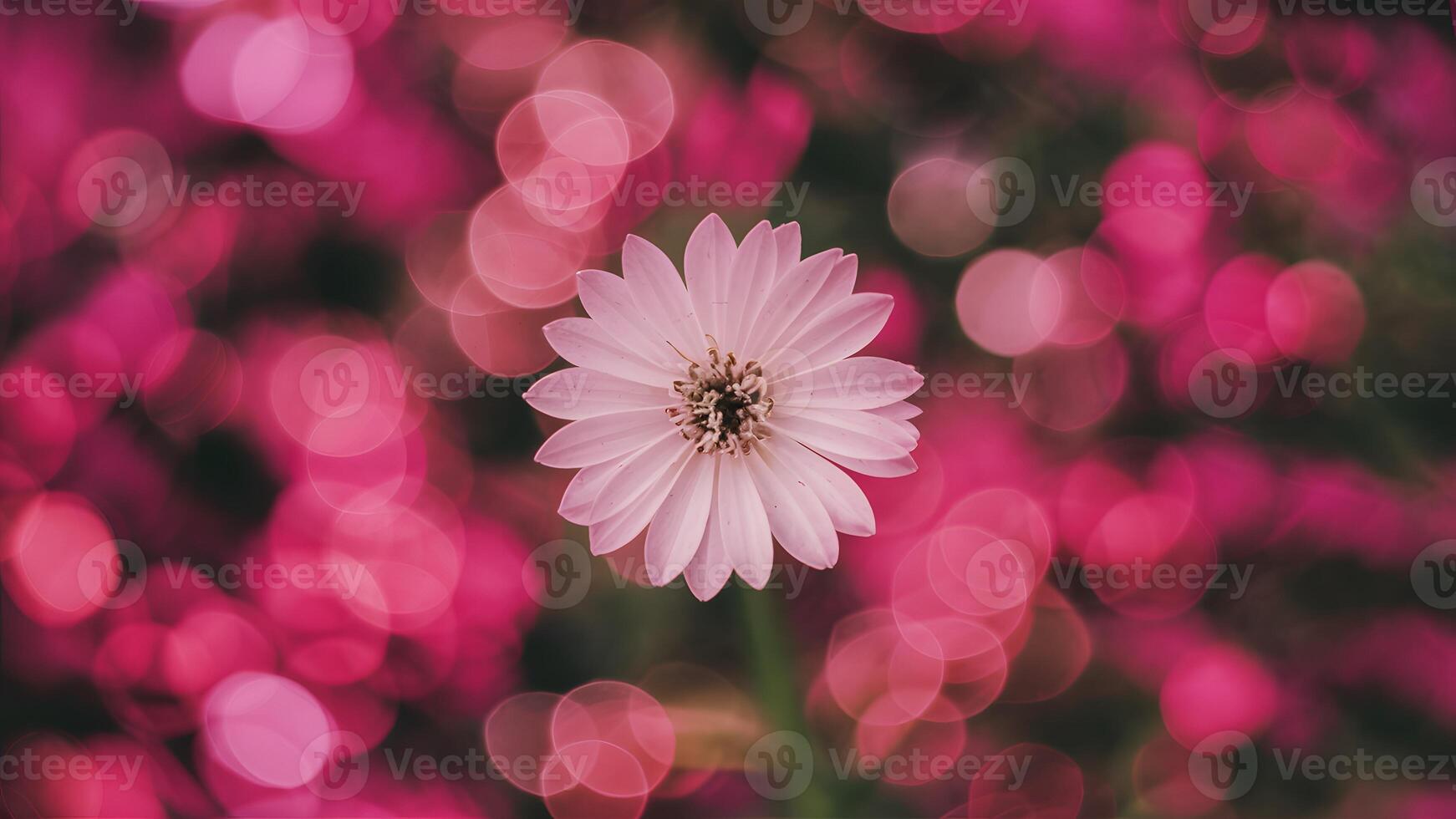 AI generated Pink bokeh adds beauty to abstract blurred background image photo