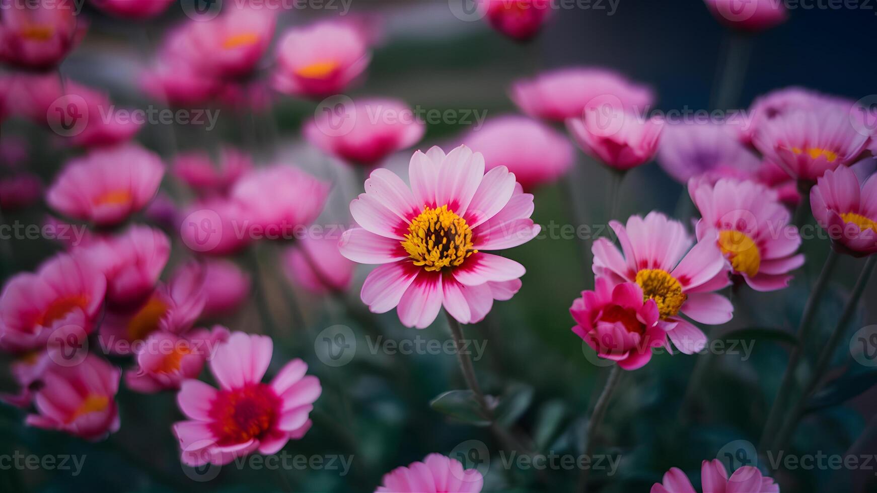 ai generado naturaleza resumen con vistoso rosado y púrpura flores, borroso antecedentes foto