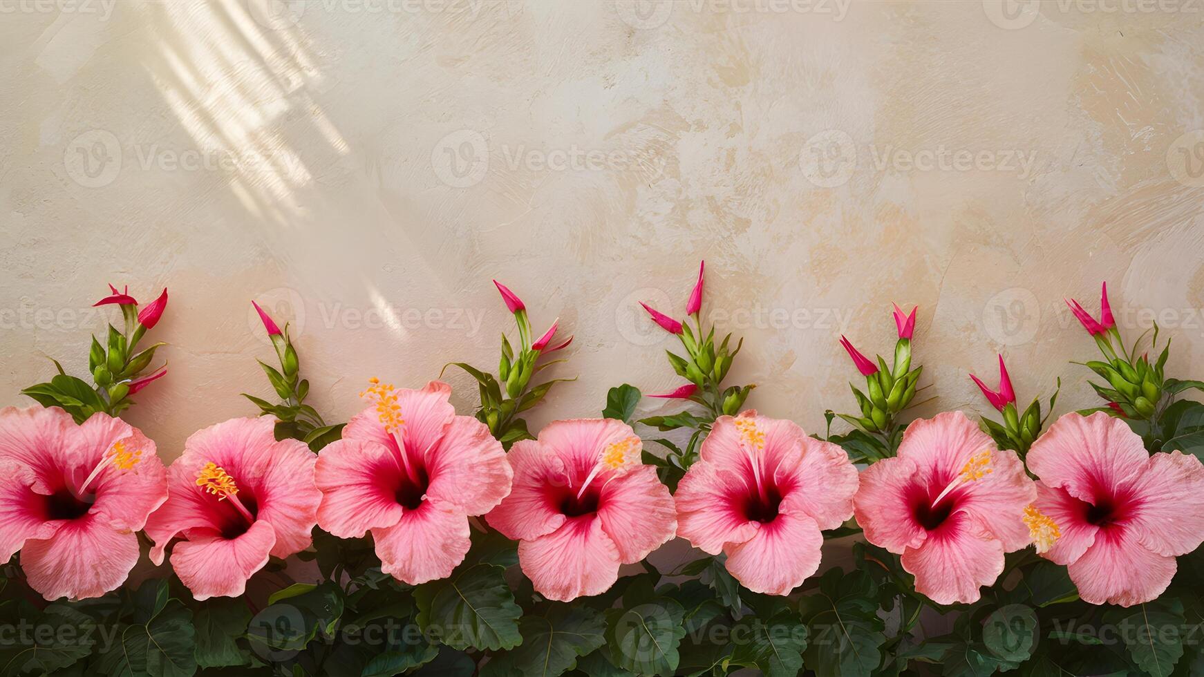 AI generated Textured background features sunlight kissed pink hibiscus flower border photo