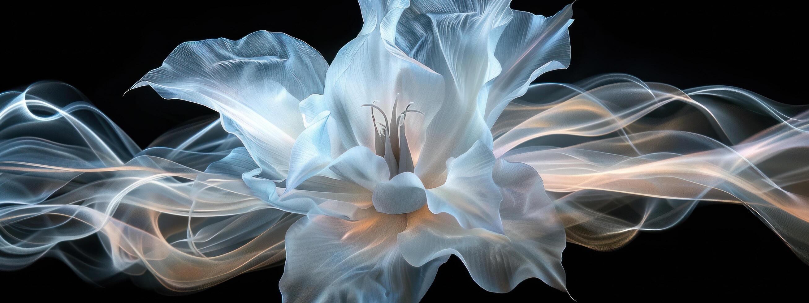 AI generated white flower with black background photo