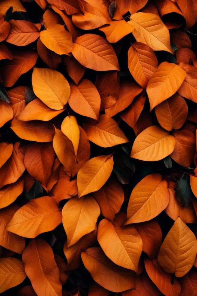 AI generated A pile of orange and yellow leaves scattered on the ground, embodying the essence of autumn photo