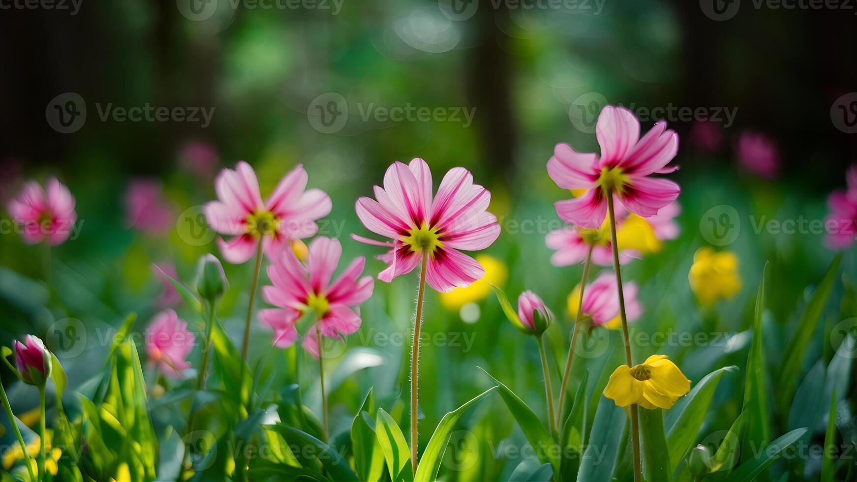 AI generated Colorful wild forest flower image with unique bokeh background photo