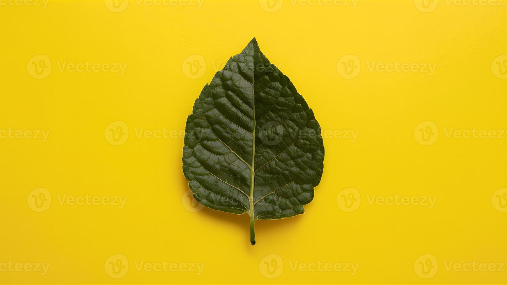 AI generated Lemon leaf isolated against a crisp white background for versatility photo