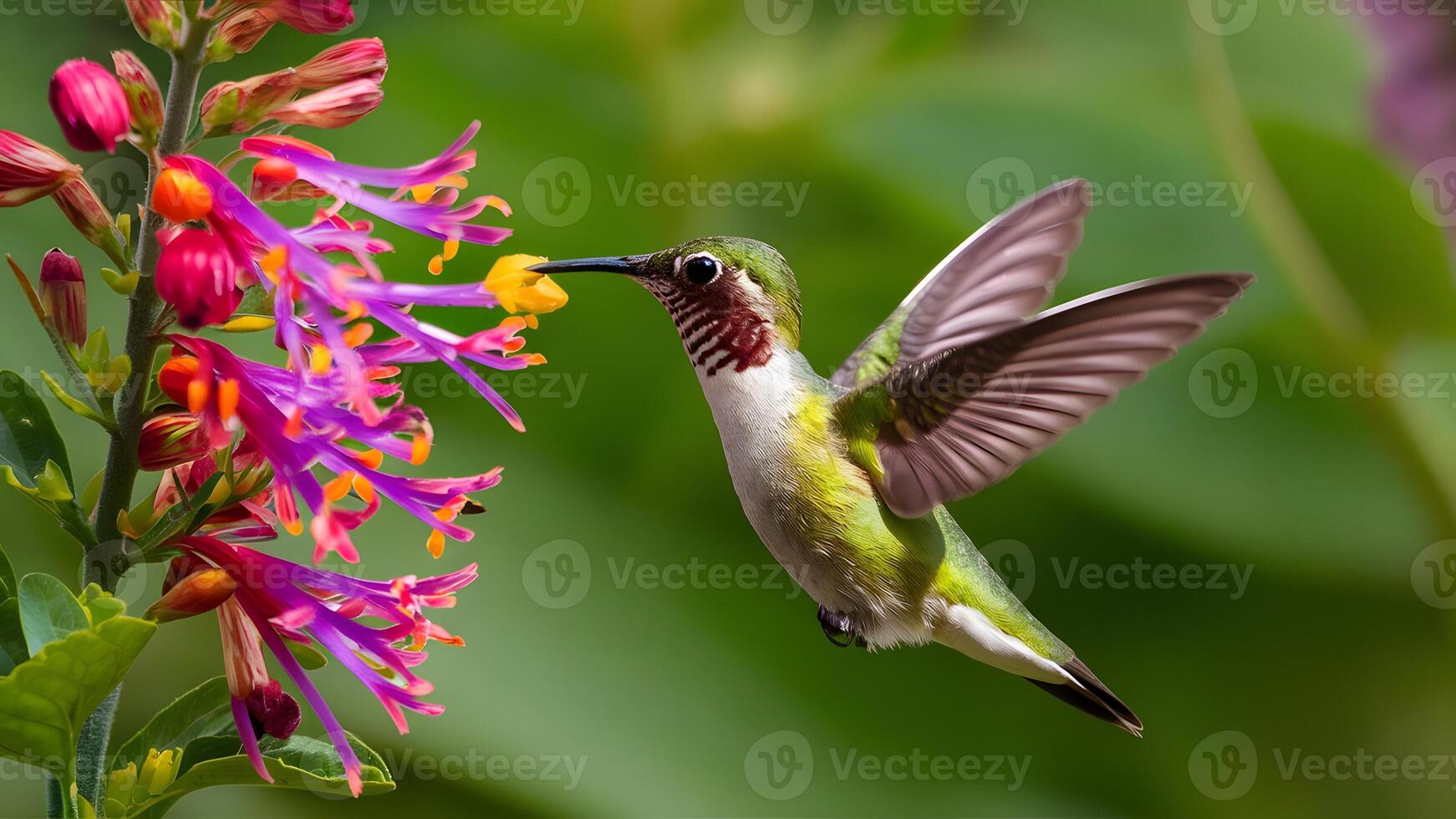 ai generado agraciado colibrí disfruta néctar desde un mariposa arbusto foto