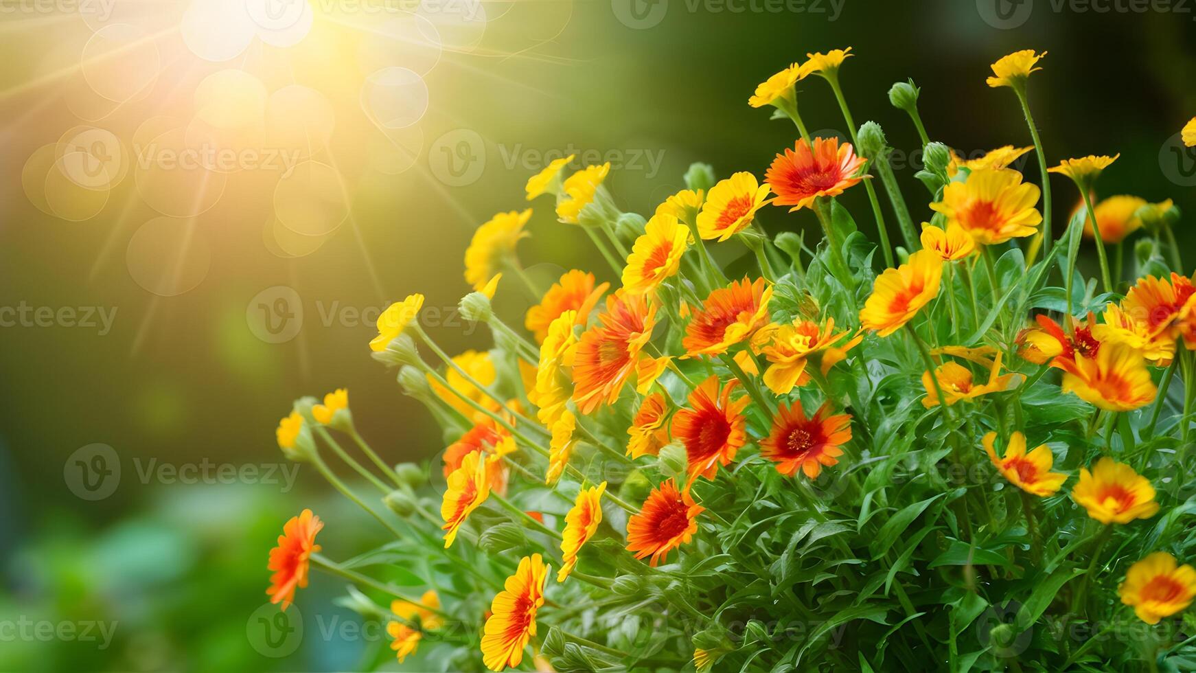 AI generated Summer flowers bathed in light over gardening bokeh background photo