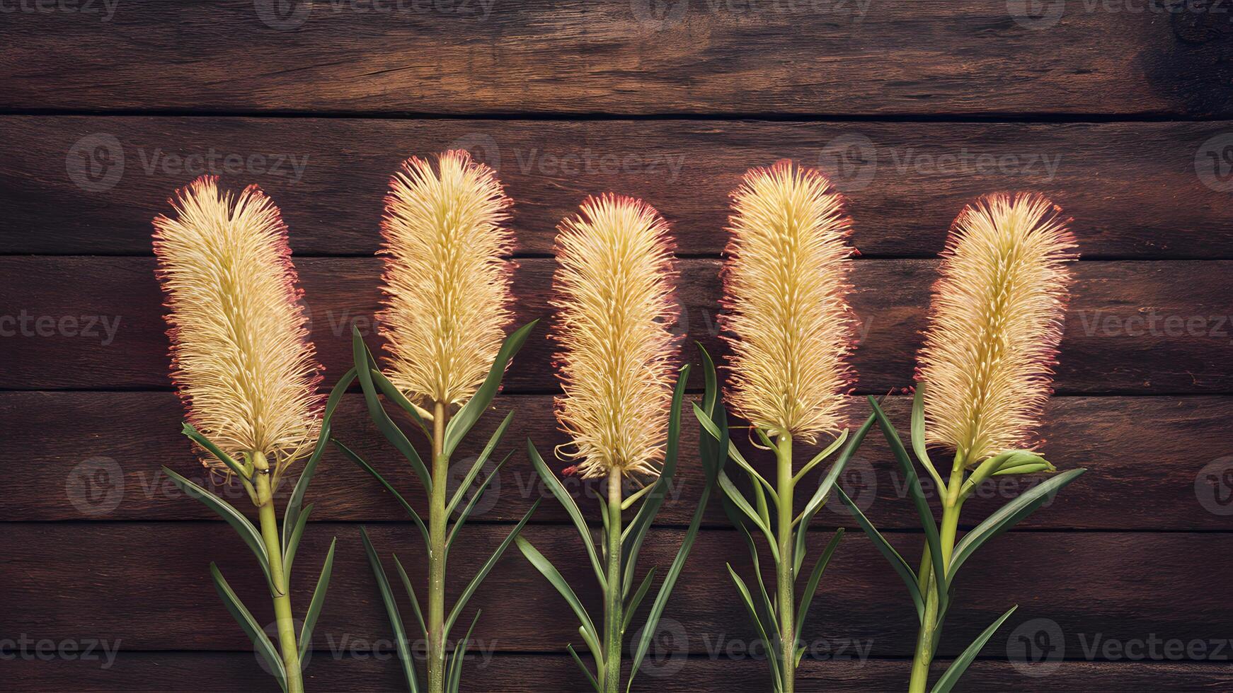 AI generated Bottle brush flowers displayed against rustic wood background photo