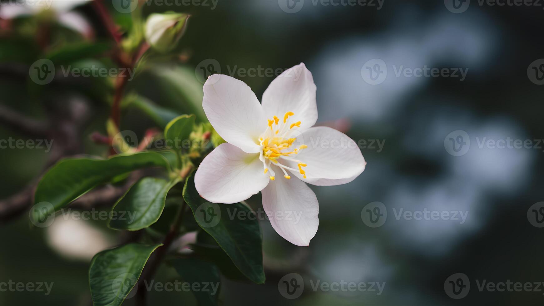 AI generated Selective focus accentuates beauty of jasmine flower against background photo