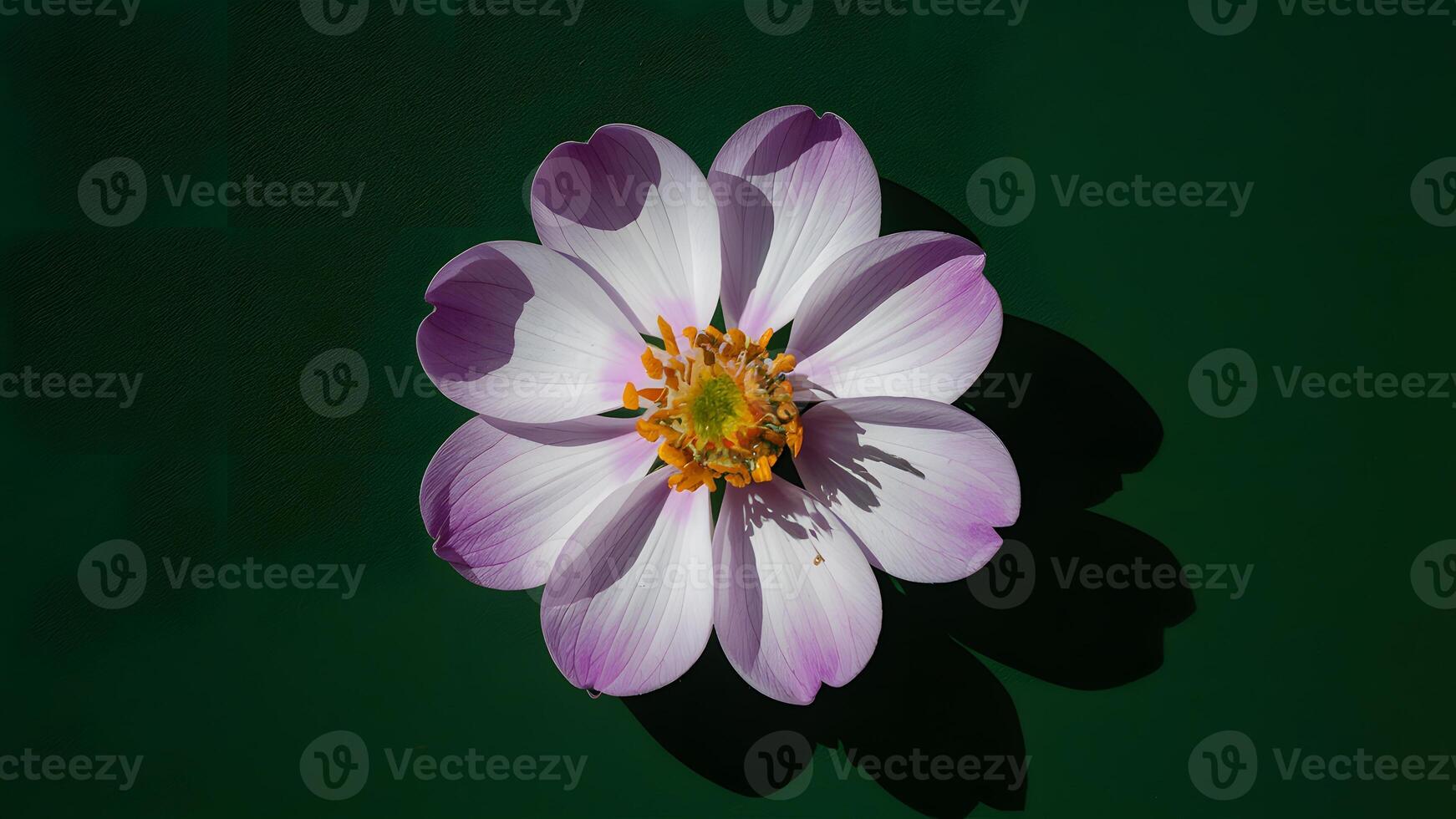 AI generated Dark green background with violet flower stamens shadows photo