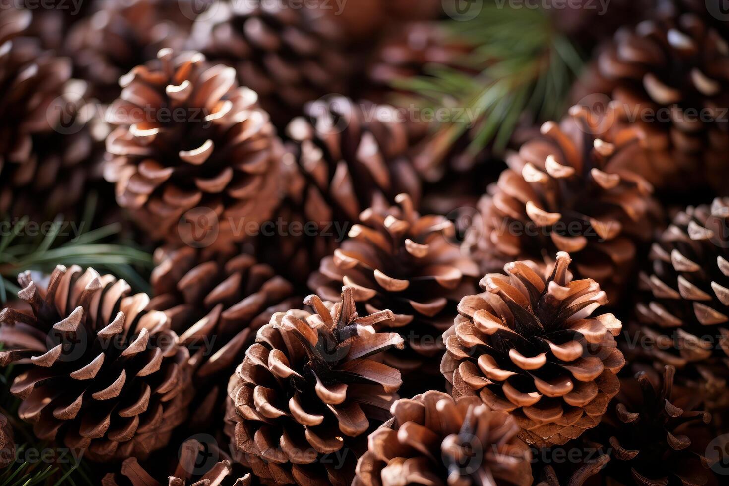 AI generated Sturdy Pine cone fir tree. Generate Ai photo