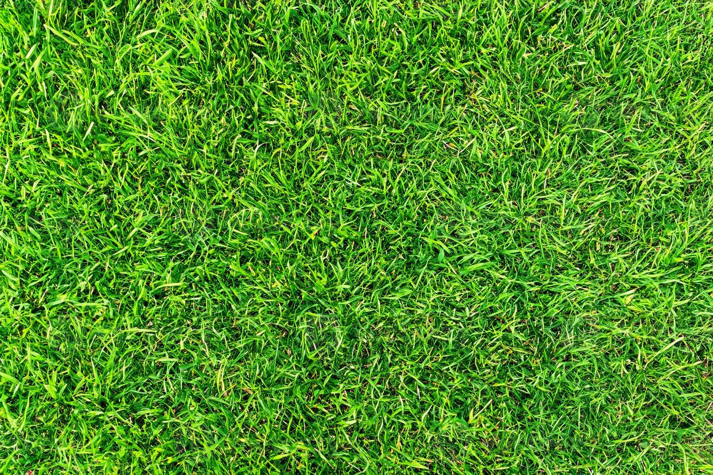 Vibrant Synthetic Turf, Ideal Surface for Top View Sports. photo