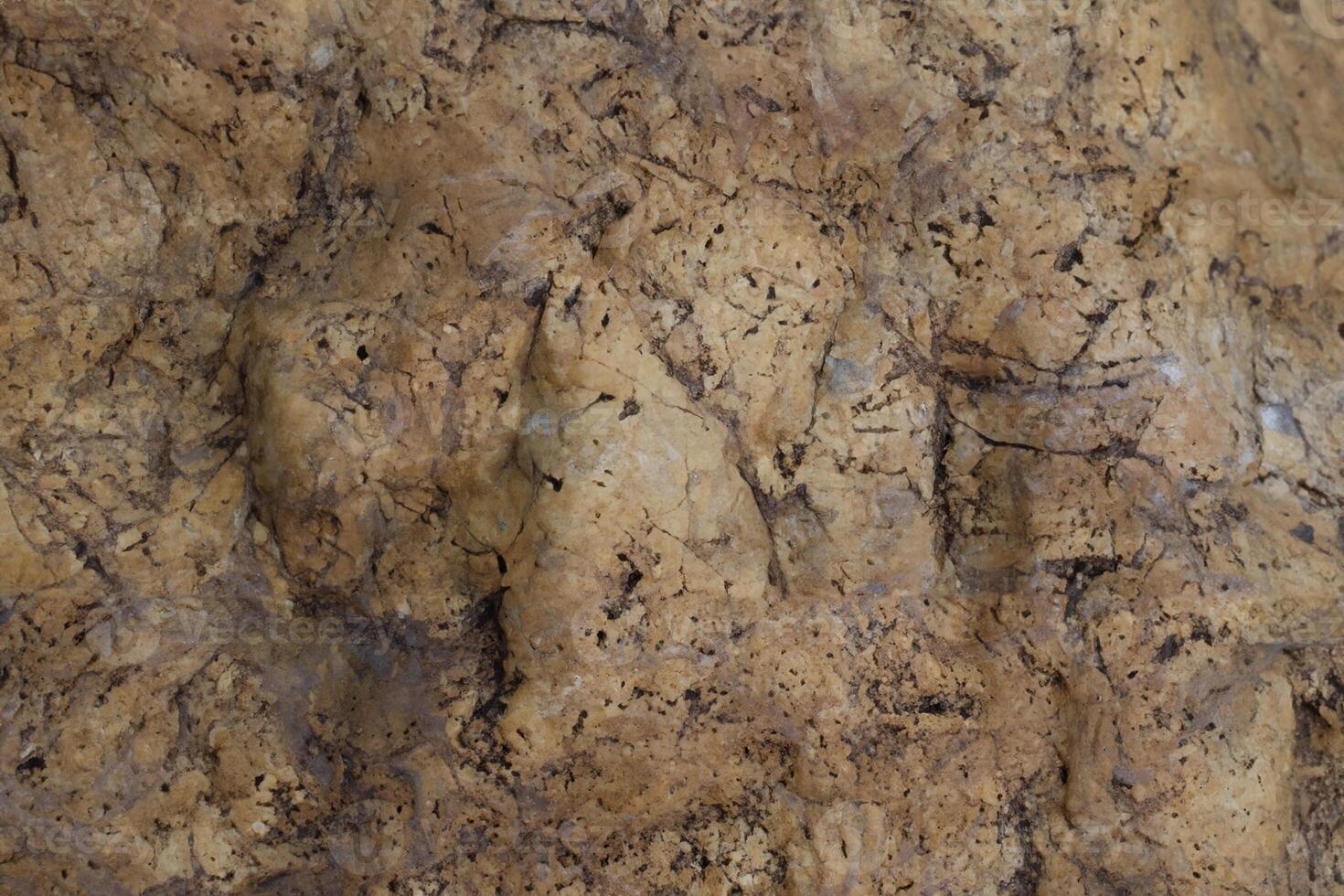 Abstract Stone and Rock Texture Background on Wall. photo