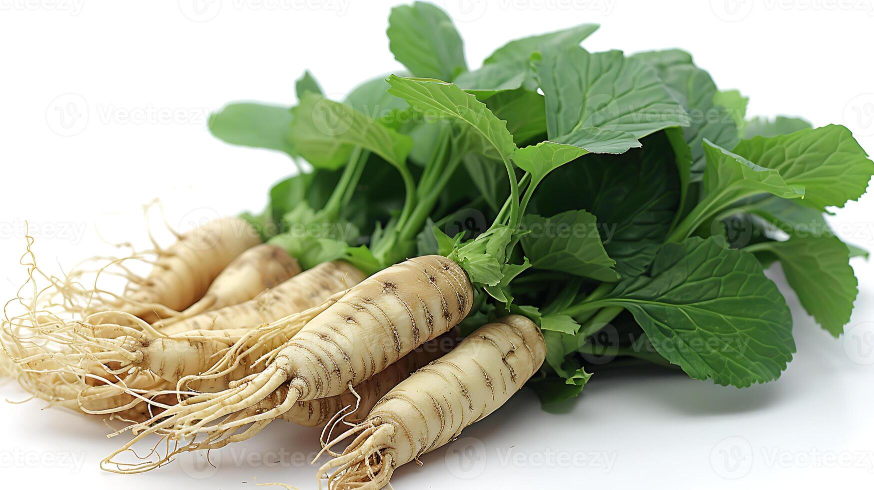 AI generated Ginseng plant on a white background photo