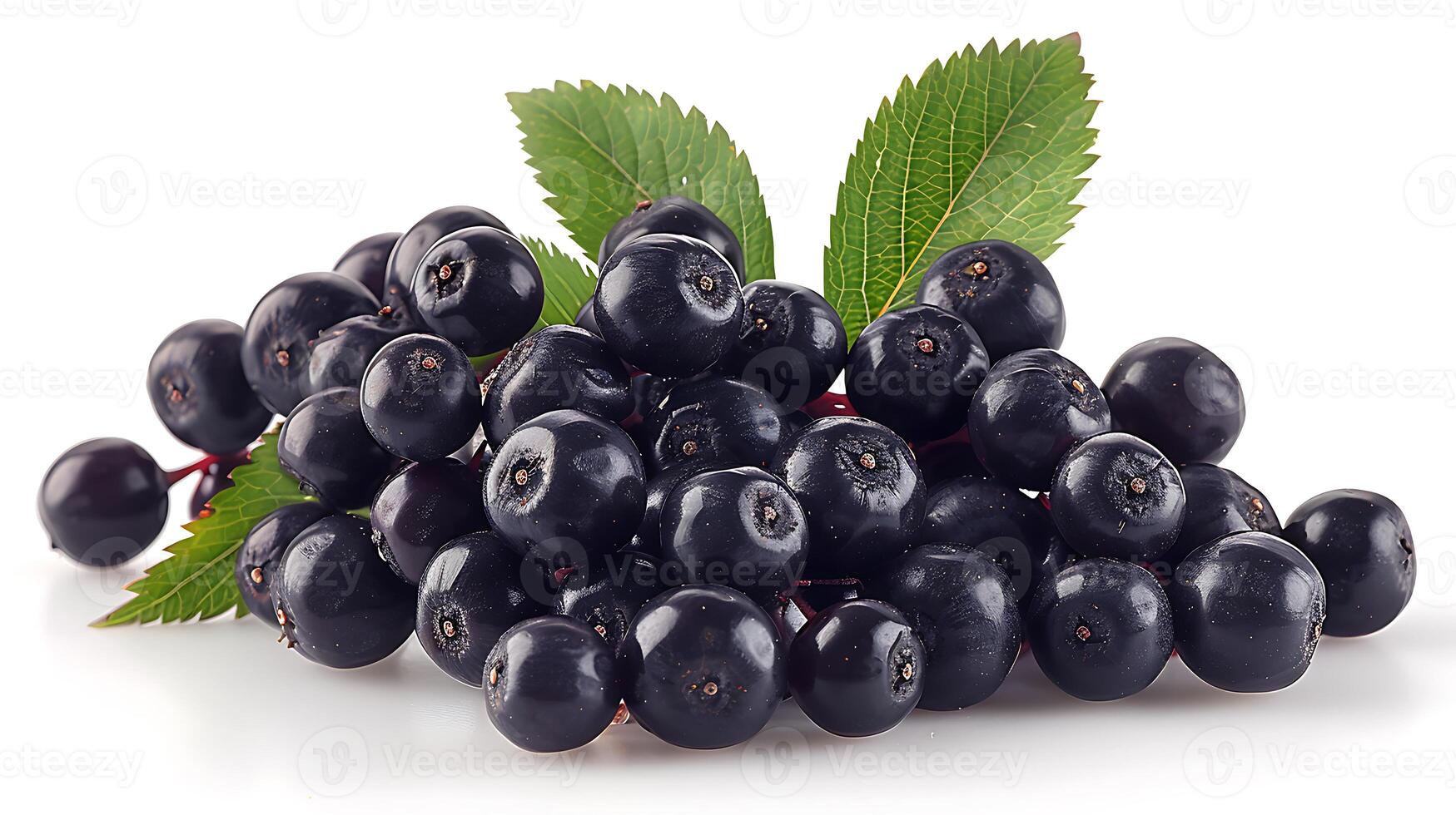 AI generated A bunch of Elderberry fruits with leaves on a white background photo