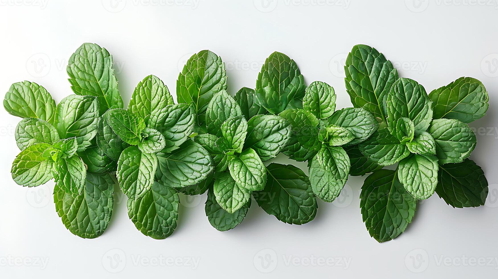 ai generado medicinal plantas menta en un blanco antecedentes foto