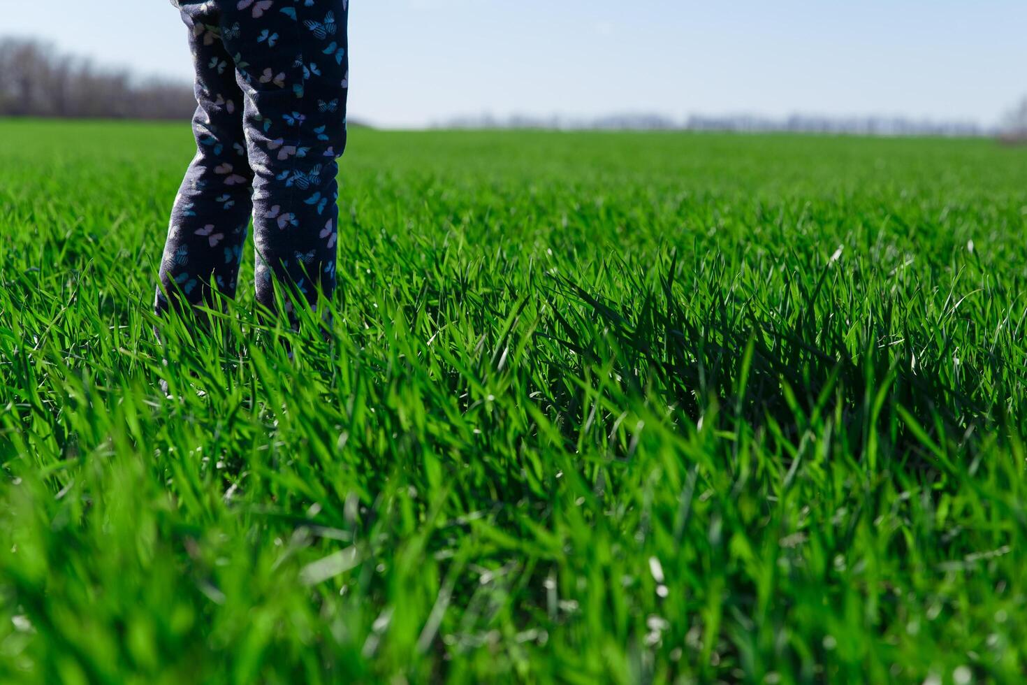 children stand on a field with green grass, spring photo