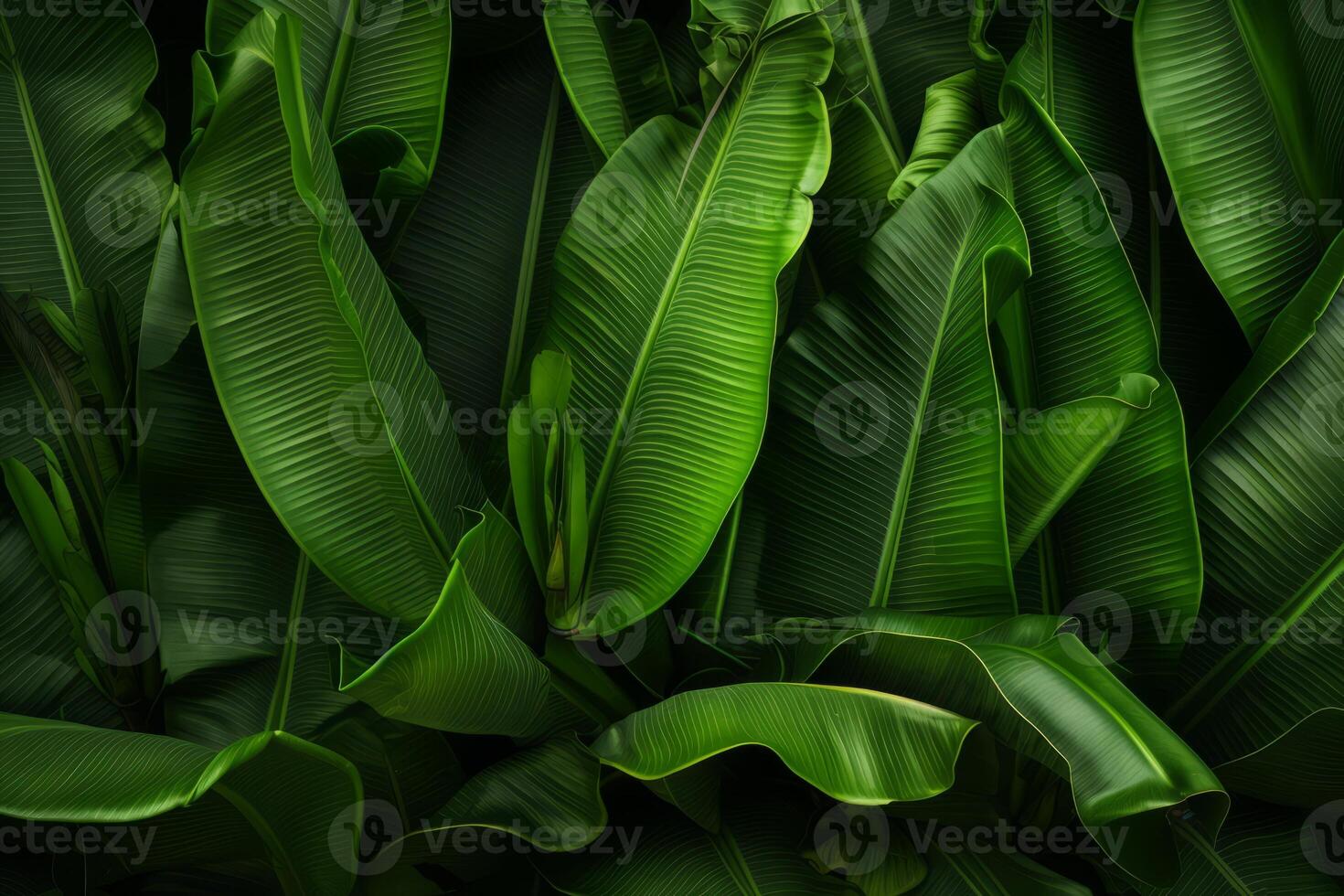 AI generated Banana leaves forming a natural background. Generative AI photo