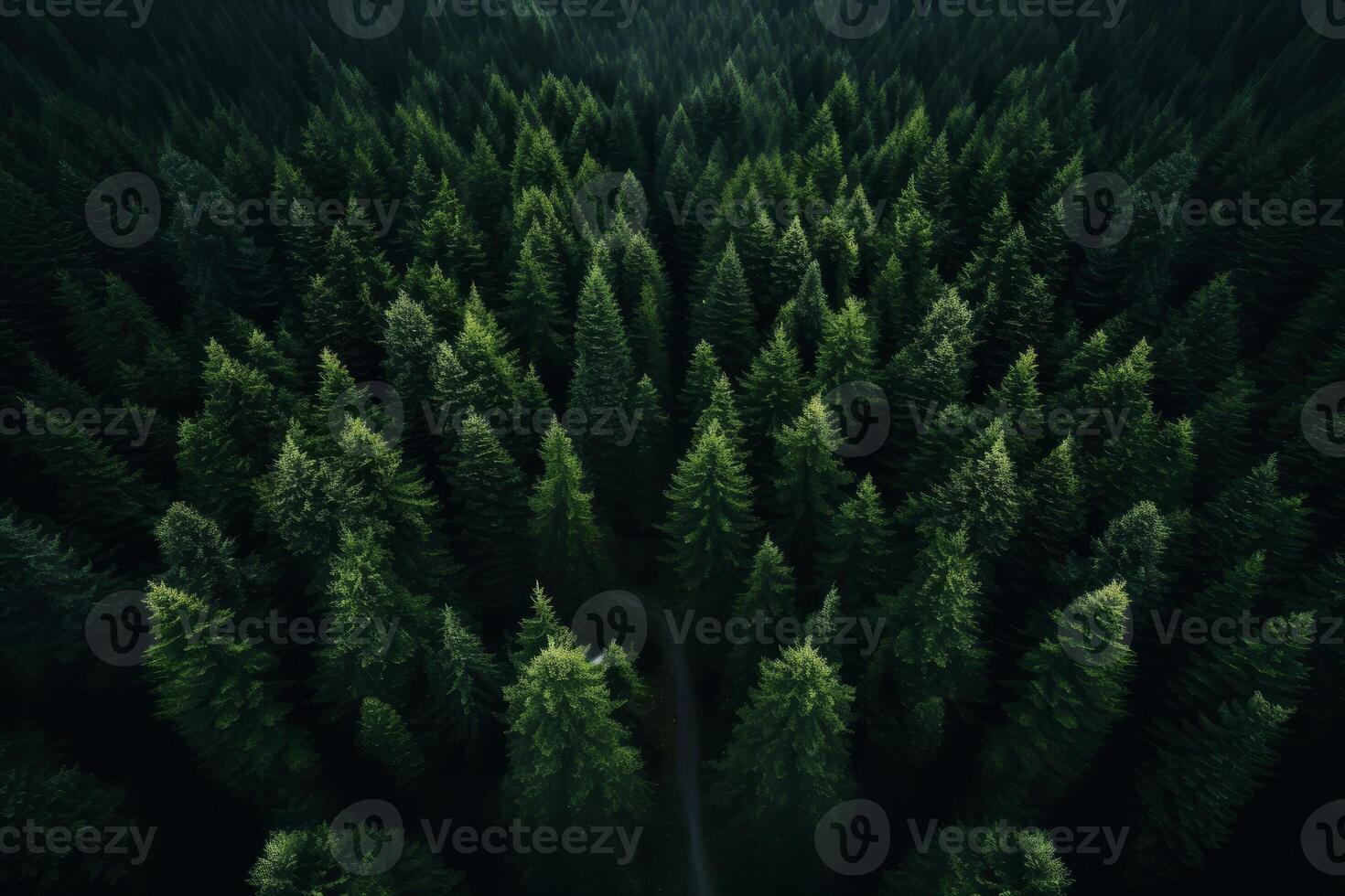 AI generated Aerial view of a serene forest captured by drone technology. Generative AI photo