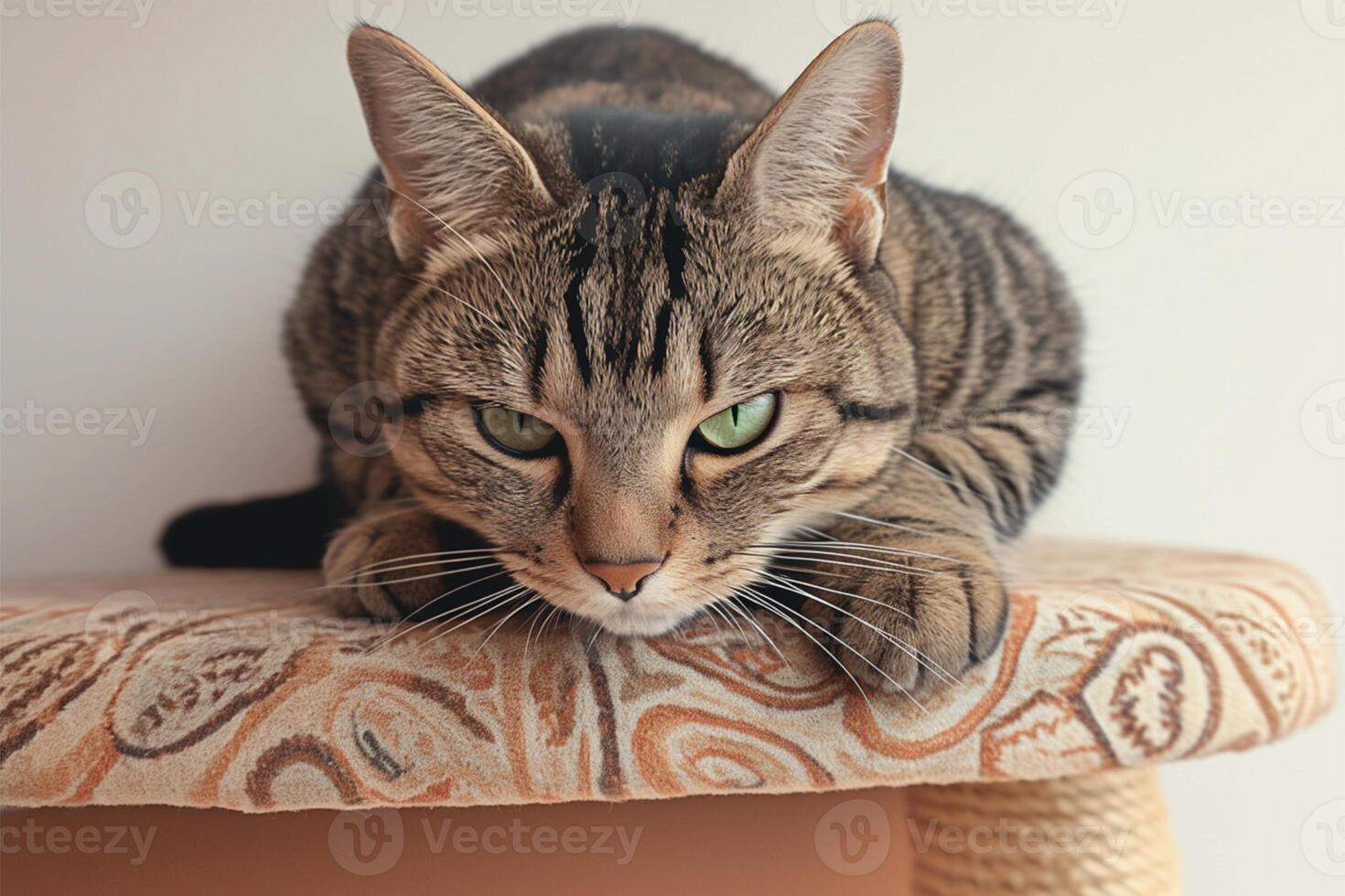 AI generated Arrogant tabby cat relaxes at home, a funny portrait photo