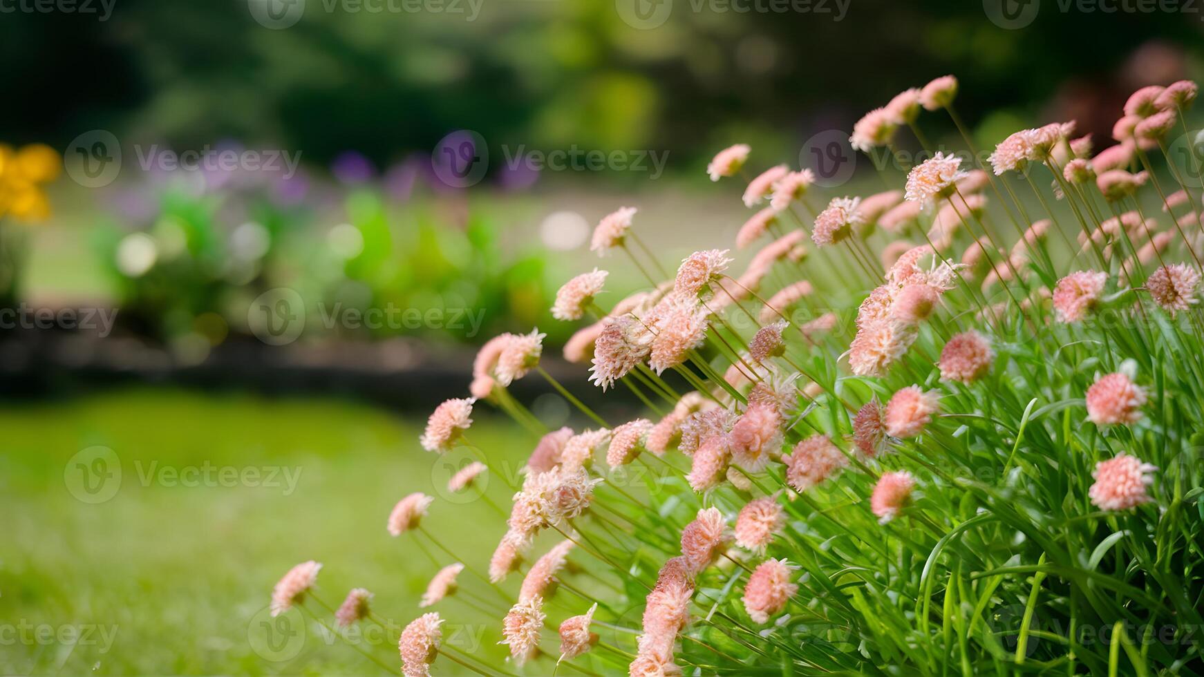 AI generated Frame Blurred summer garden park background with dianthus flowers, gardening photo