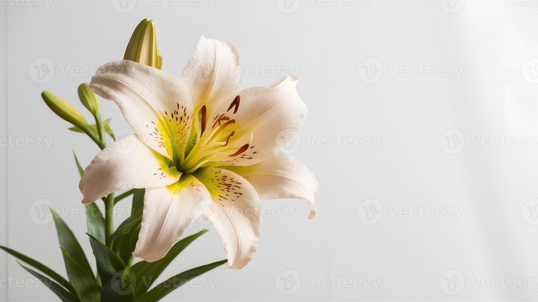 ai generado aislado Pascua de Resurrección lirio flor exuda elegancia en contra prístino blanco fondo foto